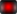 camera-clicked